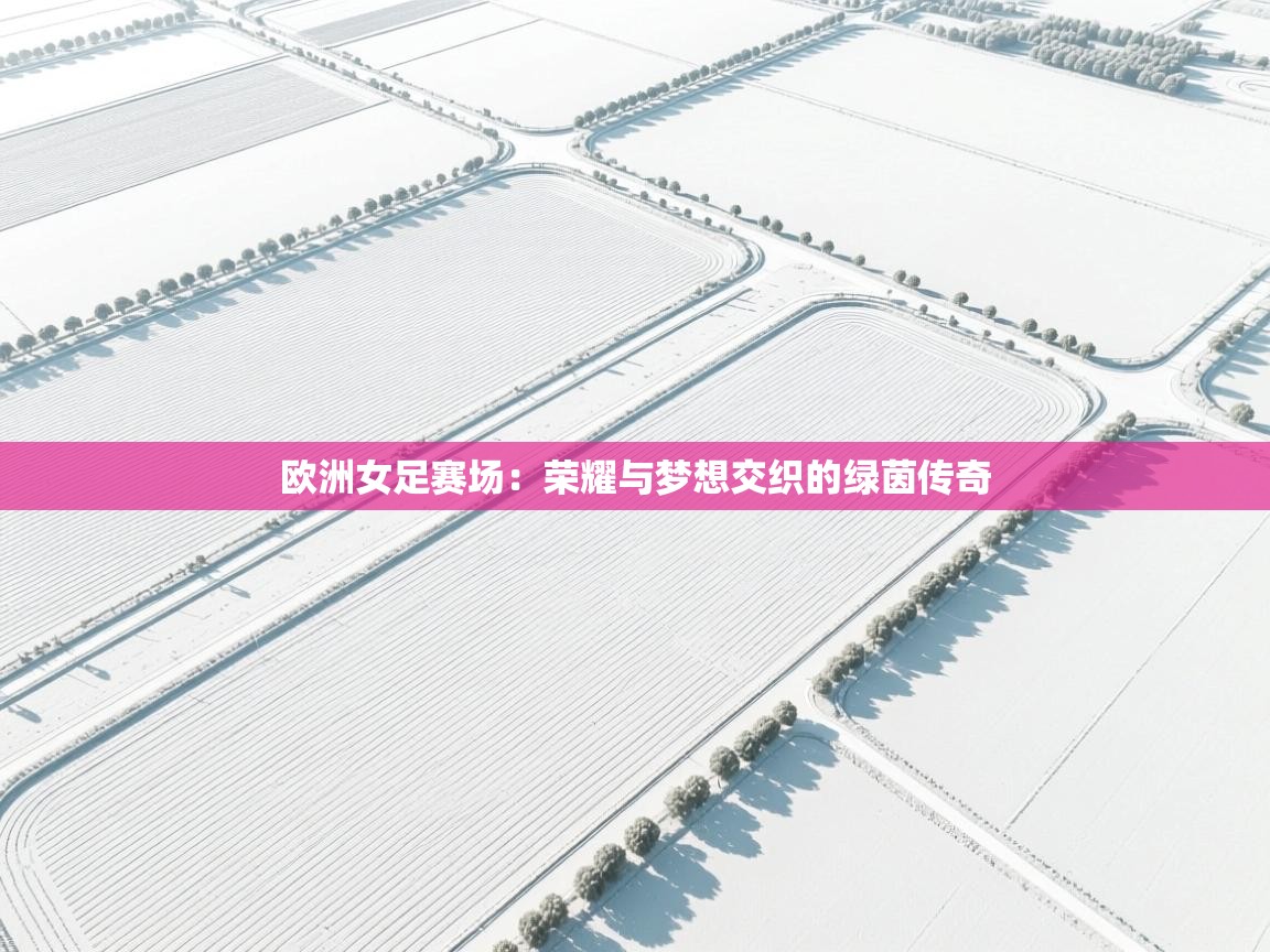 欧洲女足赛场：荣耀与梦想交织的绿茵传奇  第1张