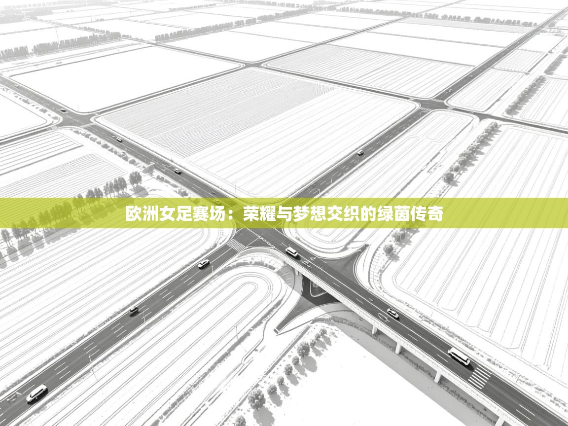 欧洲女足赛场：荣耀与梦想交织的绿茵传奇  第2张